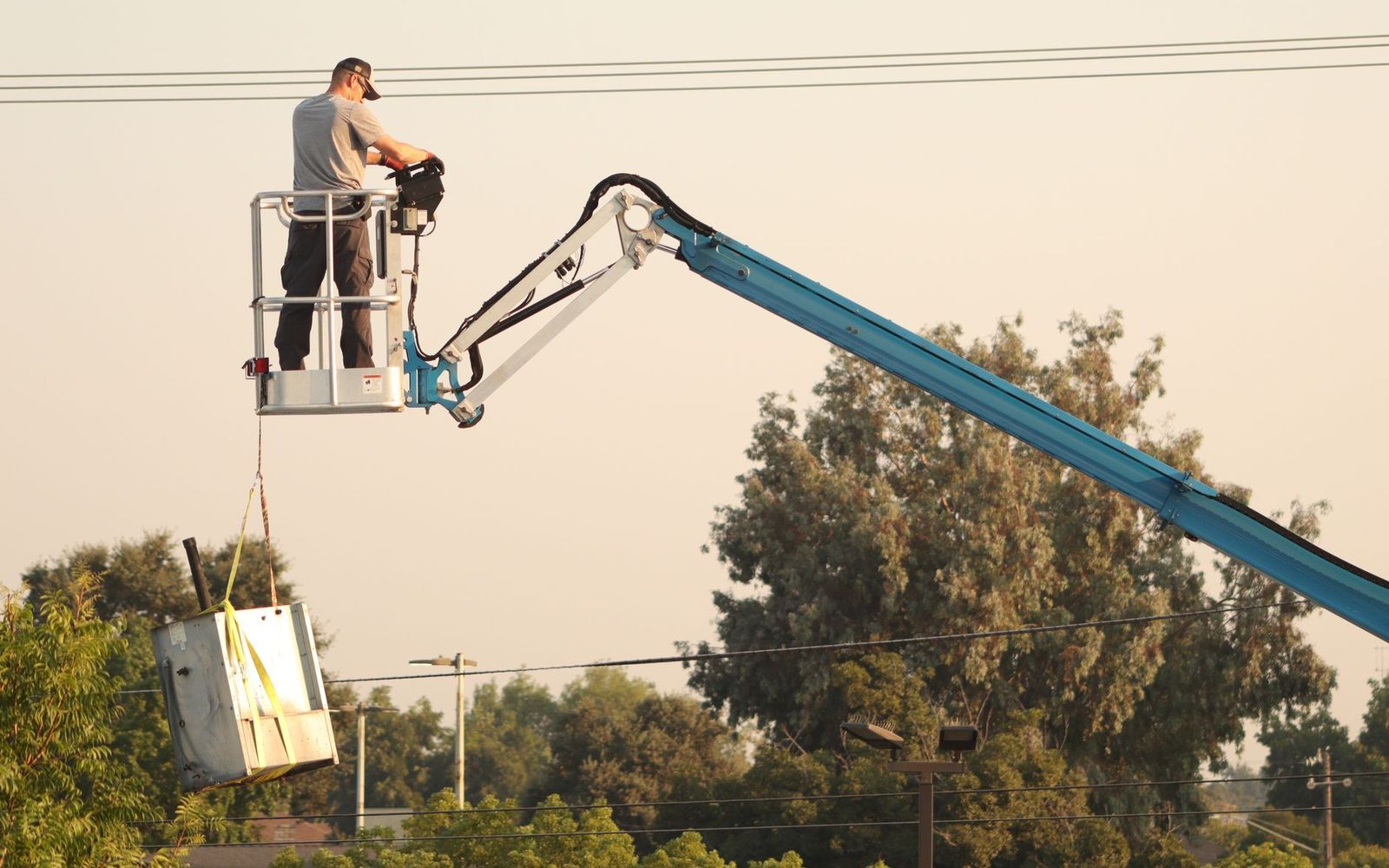 Tree removal in Waterloo, IA by Waterloo Tree Service
