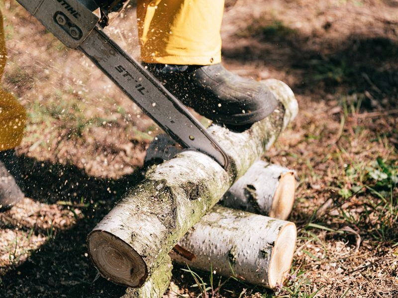 Tree removal job in the Hurst neighborhood of Waterloo