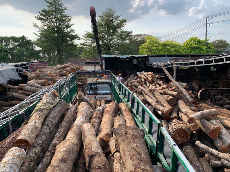 Tree removal job in the Walnut neighborhood of Waterloo